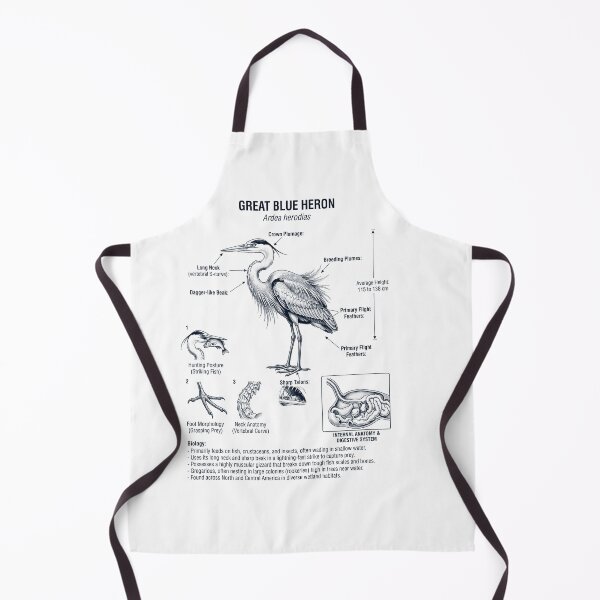 Item preview, Great Blue Heron Scientific Anatomy Ornithology Bird Birding Lover designed and sold by dian-rody-crest.