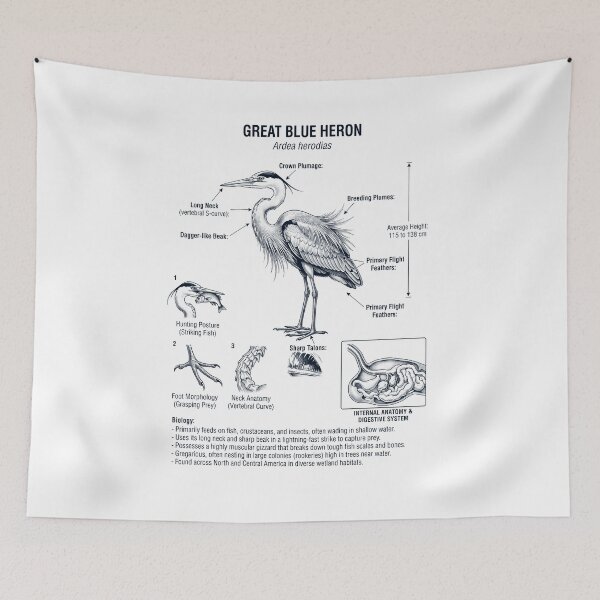 Item preview, Great Blue Heron Scientific Anatomy Ornithology Bird Birding Lover designed and sold by dian-rody-crest.