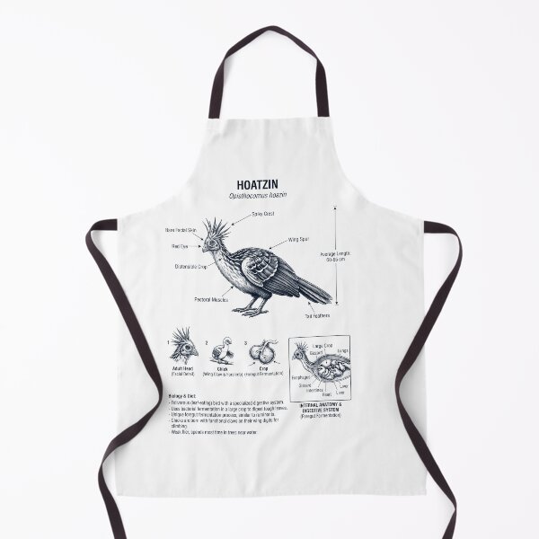 Item preview, Hoatzin Scientific Anatomy Ornithology Bird Birding Lover designed and sold by dian-rody-crest.