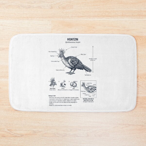 Item preview, Hoatzin Scientific Anatomy Ornithology Bird Birding Lover designed and sold by dian-rody-crest.