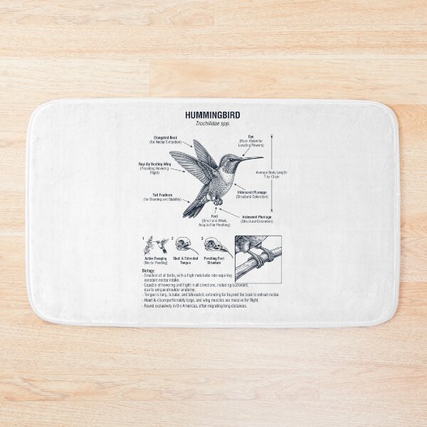 Item preview, Hummingbird Scientific Anatomy Ornithology Bird Birding Lover designed and sold by dian-rody-crest.
