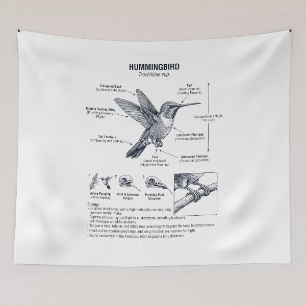 Item preview, Hummingbird Scientific Anatomy Ornithology Bird Birding Lover designed and sold by dian-rody-crest.