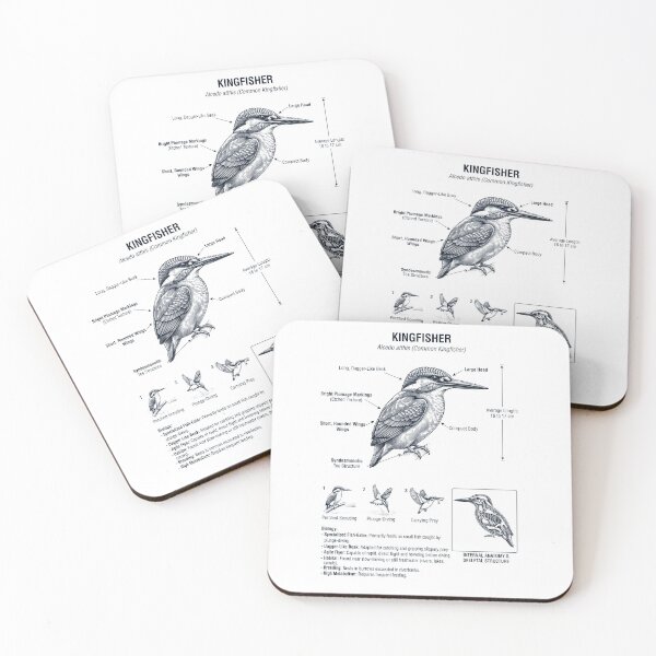Item preview, Kingfisher Scientific Anatomy Ornithology Bird Birding Lover designed and sold by dian-rody-crest.