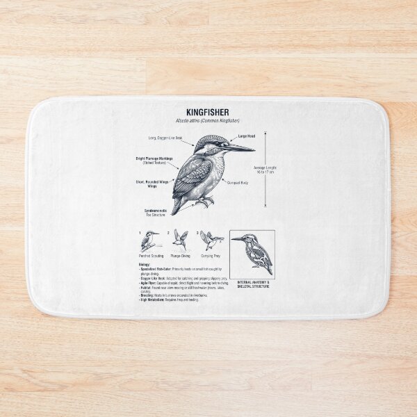 Item preview, Kingfisher Scientific Anatomy Ornithology Bird Birding Lover designed and sold by dian-rody-crest.
