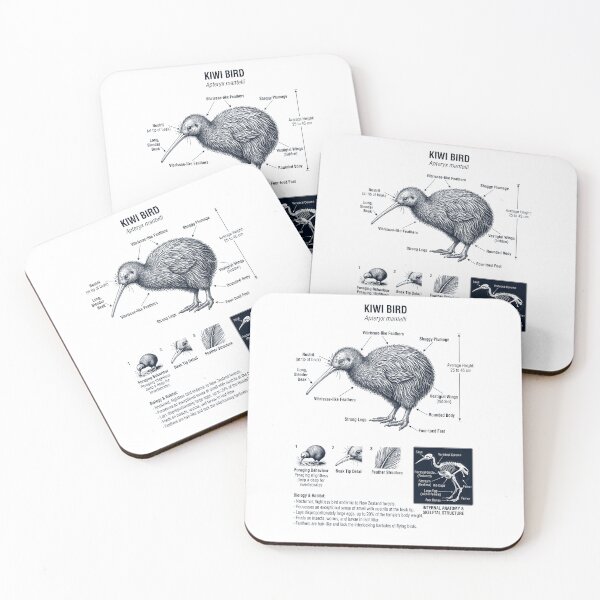 Item preview, Kiwi Bird Scientific Anatomy Ornithology Bird Birding Lover designed and sold by dian-rody-crest.