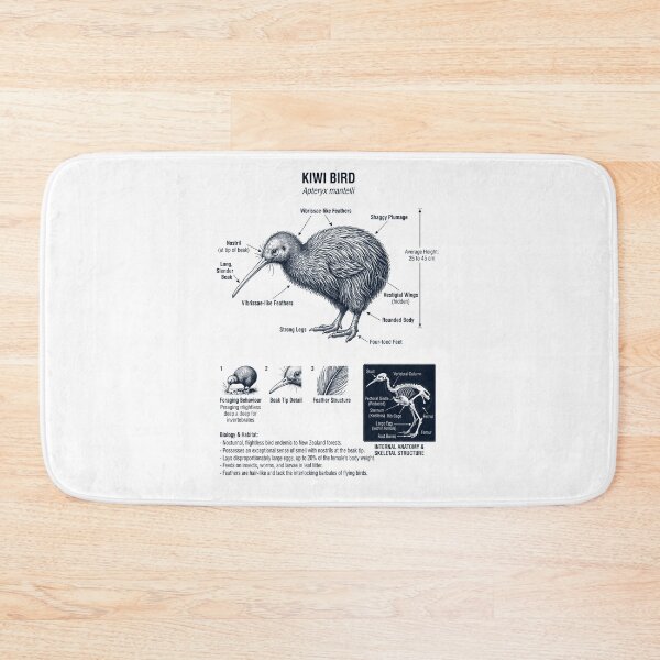Item preview, Kiwi Bird Scientific Anatomy Ornithology Bird Birding Lover designed and sold by dian-rody-crest.