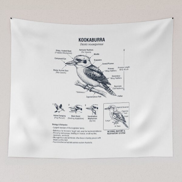 Item preview, Kookaburra Scientific Anatomy Ornithology Bird Birding Lover designed and sold by dian-rody-crest.