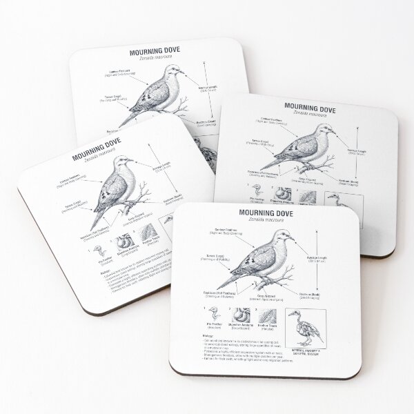 Item preview, Mourning Dove Scientific Anatomy Ornithology Bird Birding Lover designed and sold by dian-rody-crest.