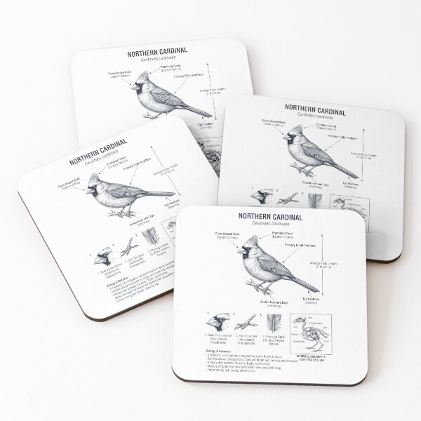 Item preview, Northern Cardinal Scientific Anatomy Ornithology Bird Birding Lover designed and sold by dian-rody-crest.