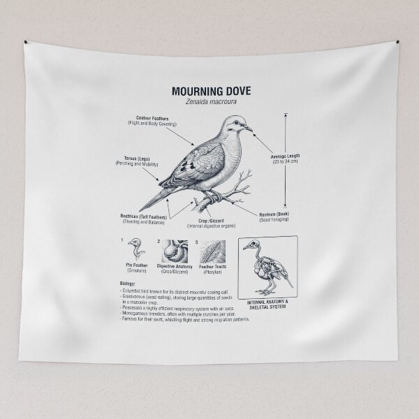 Item preview, Mourning Dove Scientific Anatomy Ornithology Bird Birding Lover designed and sold by dian-rody-crest.