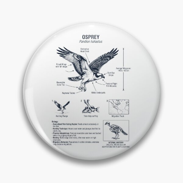 Item preview, Osprey Scientific Anatomy Ornithology Bird Birding Lover designed and sold by dian-rody-crest.