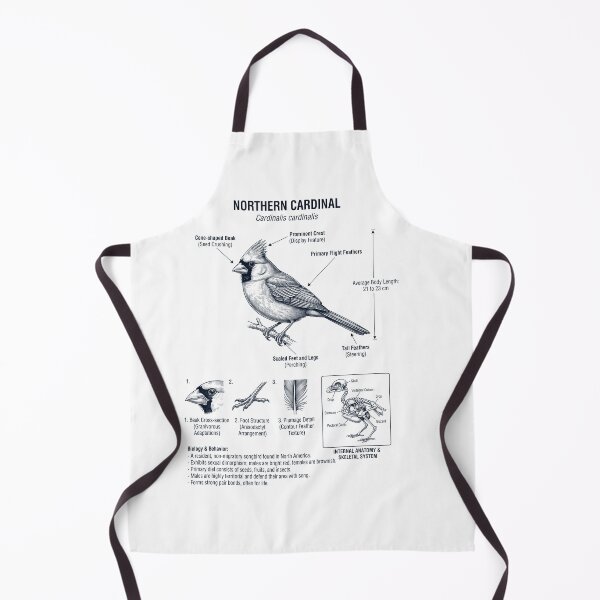 Item preview, Northern Cardinal Scientific Anatomy Ornithology Bird Birding Lover designed and sold by dian-rody-crest.