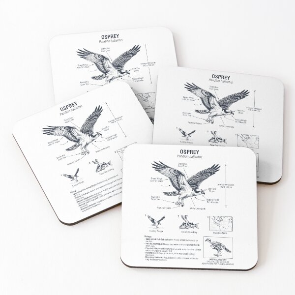 Item preview, Osprey Scientific Anatomy Ornithology Bird Birding Lover designed and sold by dian-rody-crest.