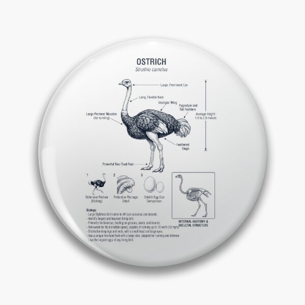 Item preview, Ostrich Scientific Anatomy Ornithology Bird Birding Lover designed and sold by dian-rody-crest.