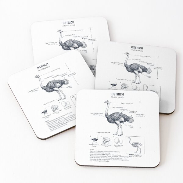 Item preview, Ostrich Scientific Anatomy Ornithology Bird Birding Lover designed and sold by dian-rody-crest.