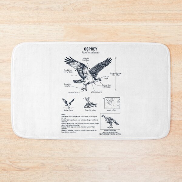 Item preview, Osprey Scientific Anatomy Ornithology Bird Birding Lover designed and sold by dian-rody-crest.