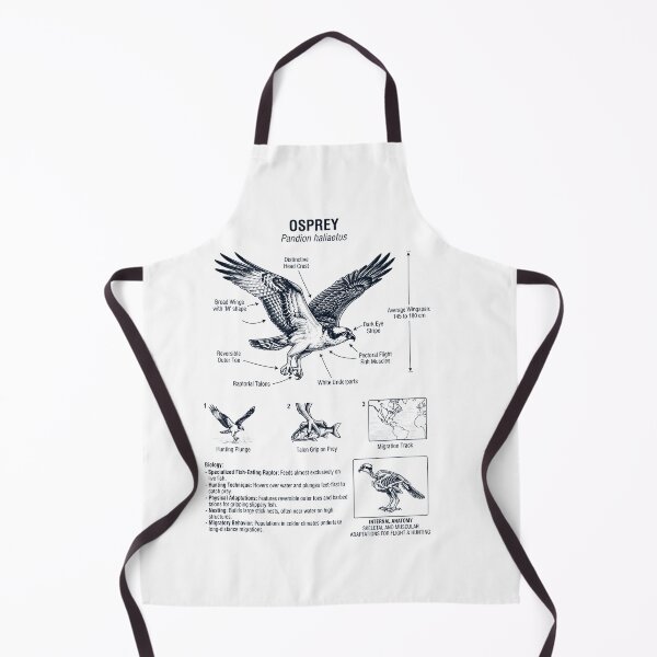 Item preview, Osprey Scientific Anatomy Ornithology Bird Birding Lover designed and sold by dian-rody-crest.