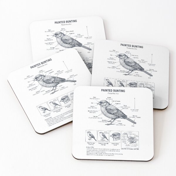 Item preview, Painted Bunting Scientific Anatomy Ornithology Bird Birding Lover designed and sold by dian-rody-crest.
