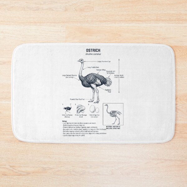 Item preview, Ostrich Scientific Anatomy Ornithology Bird Birding Lover designed and sold by dian-rody-crest.