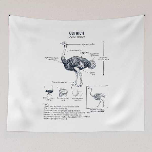 Item preview, Ostrich Scientific Anatomy Ornithology Bird Birding Lover designed and sold by dian-rody-crest.