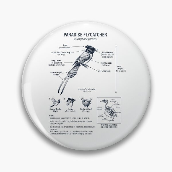 Item preview, Paradise Flycatcher Scientific Anatomy Ornithology Bird Birding Lover designed and sold by dian-rody-crest.