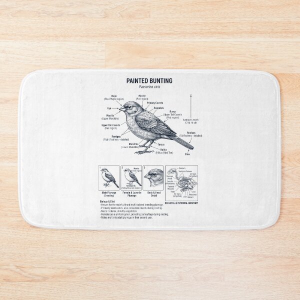 Item preview, Painted Bunting Scientific Anatomy Ornithology Bird Birding Lover designed and sold by dian-rody-crest.