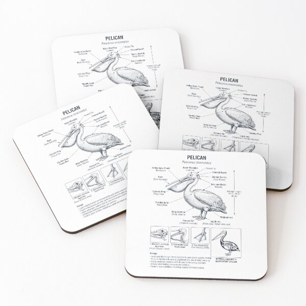 Item preview, Pelican Scientific Anatomy Ornithology Bird Birding Lover designed and sold by dian-rody-crest.