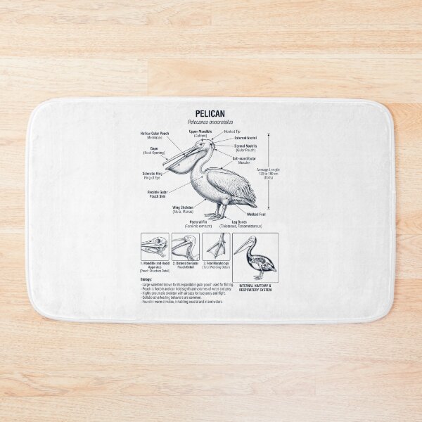 Item preview, Pelican Scientific Anatomy Ornithology Bird Birding Lover designed and sold by dian-rody-crest.