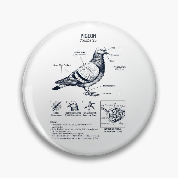 Item preview, Pigeon Scientific Anatomy Ornithology Bird Birding Lover designed and sold by dian-rody-crest.