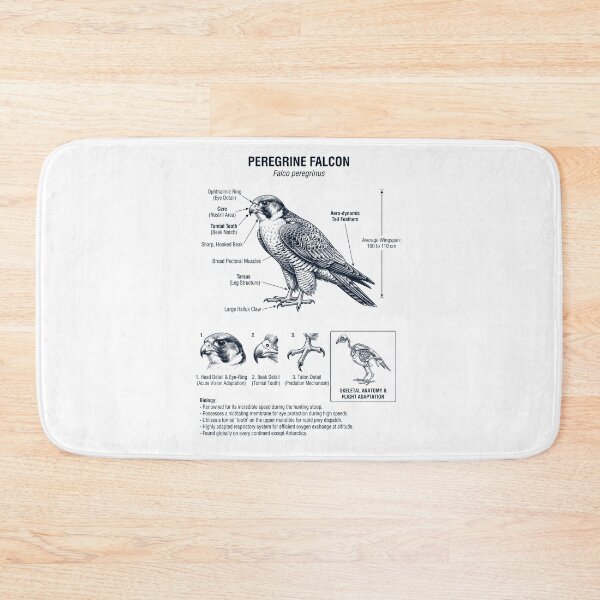 Item preview, Peregrine Falcon Scientific Anatomy Ornithology Bird Birding Lover designed and sold by dian-rody-crest.