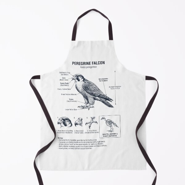 Item preview, Peregrine Falcon Scientific Anatomy Ornithology Bird Birding Lover designed and sold by dian-rody-crest.