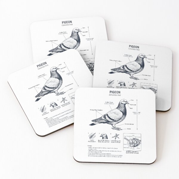 Item preview, Pigeon Scientific Anatomy Ornithology Bird Birding Lover designed and sold by dian-rody-crest.