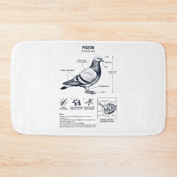 Item preview, Pigeon Scientific Anatomy Ornithology Bird Birding Lover designed and sold by dian-rody-crest.