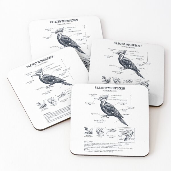 Item preview, Pileated Woodpecker Scientific Anatomy Ornithology Bird Birding Lover designed and sold by dian-rody-crest.