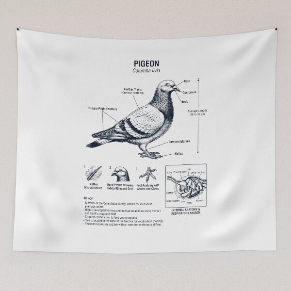 Item preview, Pigeon Scientific Anatomy Ornithology Bird Birding Lover designed and sold by dian-rody-crest.