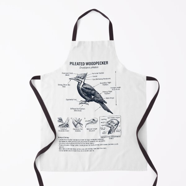 Item preview, Pileated Woodpecker Scientific Anatomy Ornithology Bird Birding Lover designed and sold by dian-rody-crest.