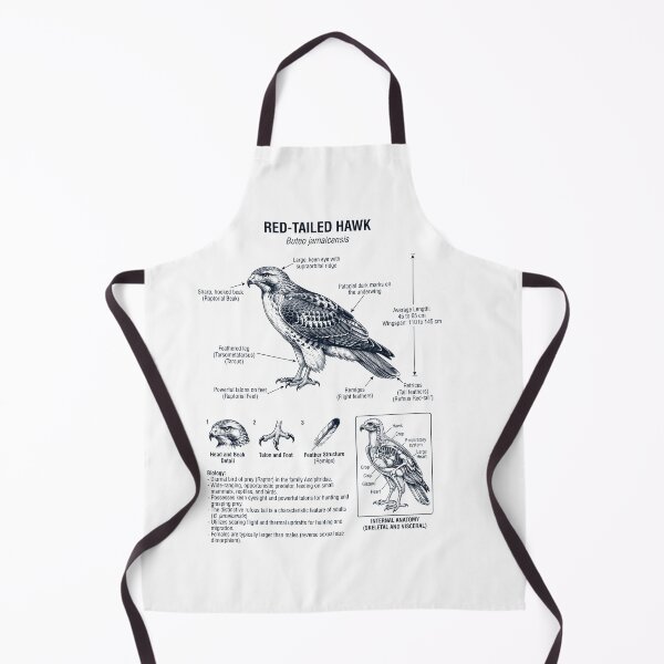 Item preview, Red tailed Hawk Scientific Anatomy Ornithology Bird Birding Lover designed and sold by dian-rody-crest.