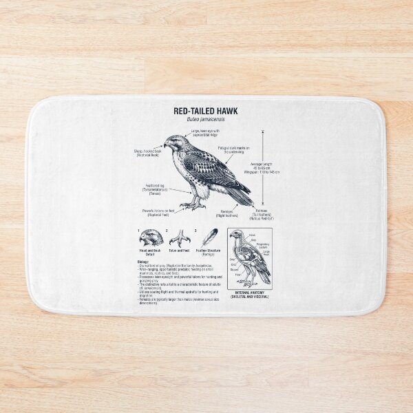 Item preview, Red tailed Hawk Scientific Anatomy Ornithology Bird Birding Lover designed and sold by dian-rody-crest.