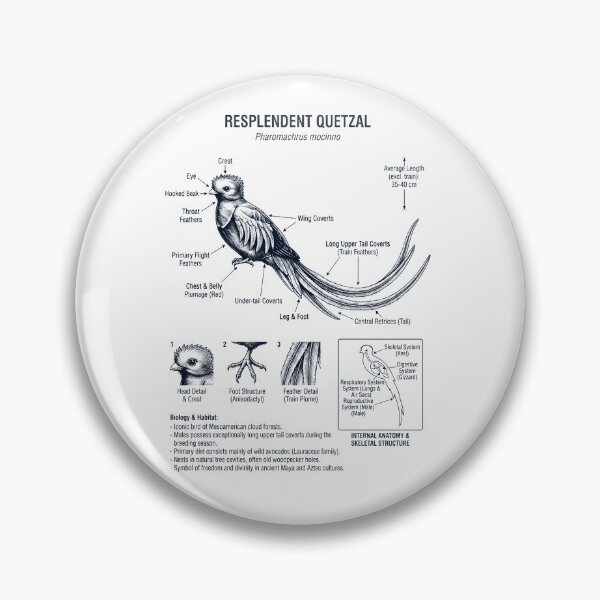Item preview, Resplendent Quetzal Scientific Anatomy Ornithology Bird Birding Lover designed and sold by dian-rody-crest.