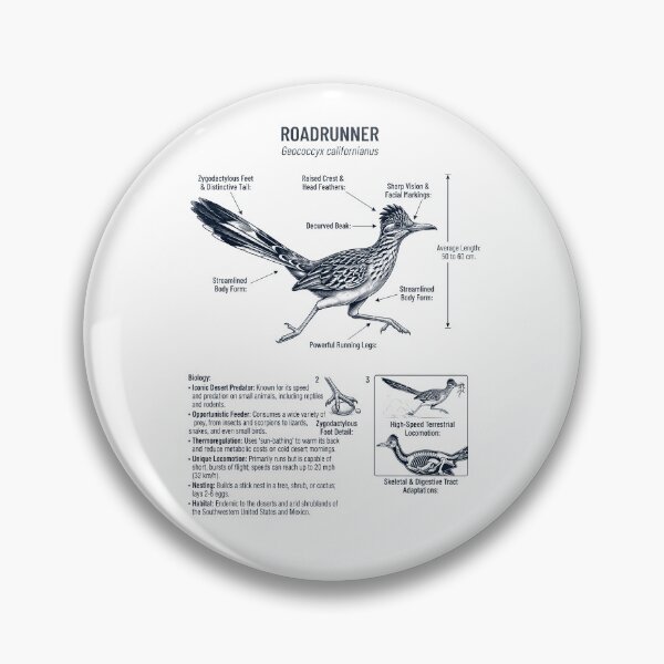 Item preview, Roadrunner Scientific Anatomy Ornithology Bird Birding Lover designed and sold by dian-rody-crest.