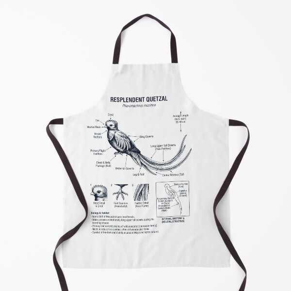 Item preview, Resplendent Quetzal Scientific Anatomy Ornithology Bird Birding Lover designed and sold by dian-rody-crest.