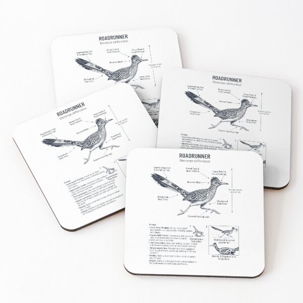 Item preview, Roadrunner Scientific Anatomy Ornithology Bird Birding Lover designed and sold by dian-rody-crest.