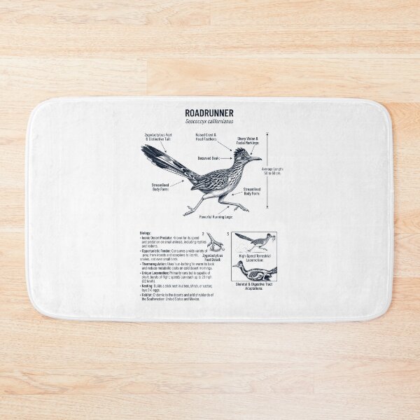 Item preview, Roadrunner Scientific Anatomy Ornithology Bird Birding Lover designed and sold by dian-rody-crest.