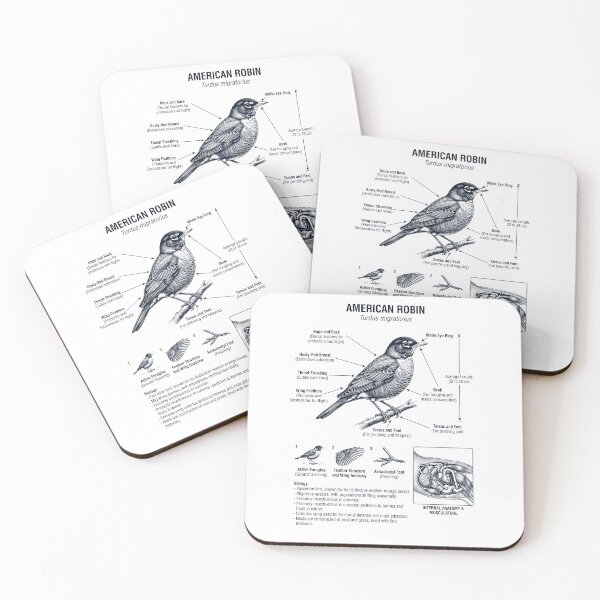 Item preview, Robin Scientific Anatomy Ornithology Bird Birding Lover designed and sold by dian-rody-crest.