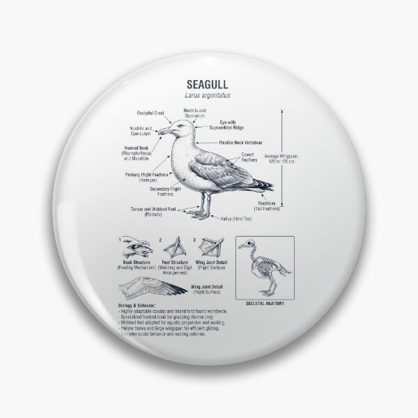 Item preview, Seagull Scientific Anatomy Ornithology Bird Birding Lover designed and sold by dian-rody-crest.