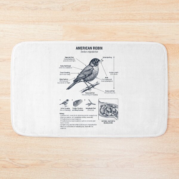 Item preview, Robin Scientific Anatomy Ornithology Bird Birding Lover designed and sold by dian-rody-crest.