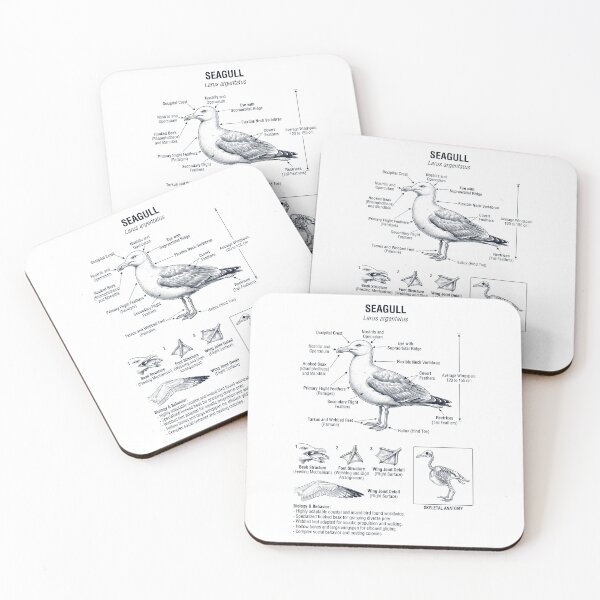 Item preview, Seagull Scientific Anatomy Ornithology Bird Birding Lover designed and sold by dian-rody-crest.