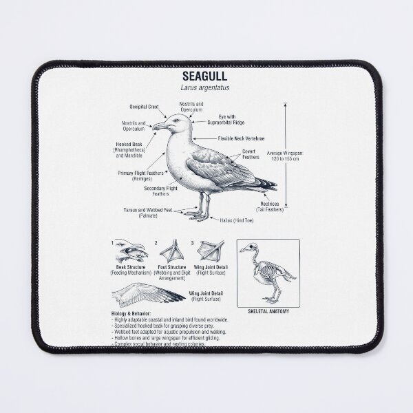Item preview, Seagull Scientific Anatomy Ornithology Bird Birding Lover designed and sold by dian-rody-crest.