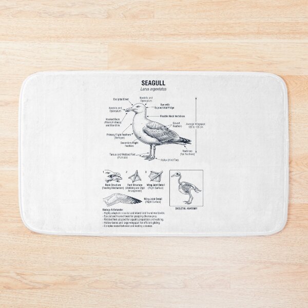 Item preview, Seagull Scientific Anatomy Ornithology Bird Birding Lover designed and sold by dian-rody-crest.
