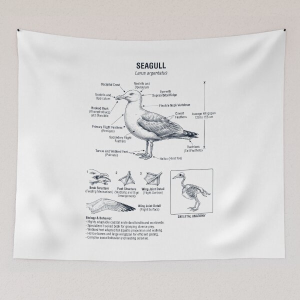 Item preview, Seagull Scientific Anatomy Ornithology Bird Birding Lover designed and sold by dian-rody-crest.